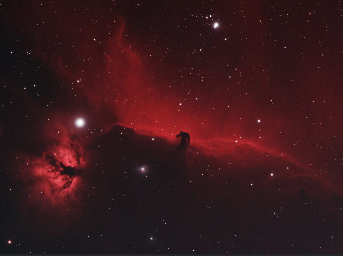 astrophotosnap's tweet photo. Horsehead Nebula https://t.co/bhoDo7LYm1