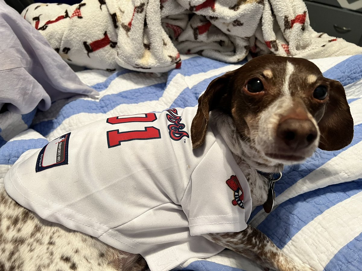 AIMillwood_1113's tweet photo. We are ready for #OpeningDay #ForTheA ! #RunItBackATL 🏆 #WorldSeriesChamps #Dachshunds @Braves https://t.co/VTsiC2EP3l