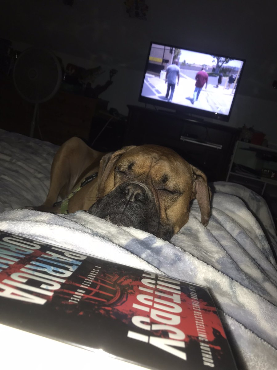 Donna Zufolo-Otto tweet media