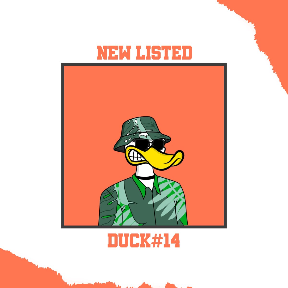 SmithTheDuck tweet media