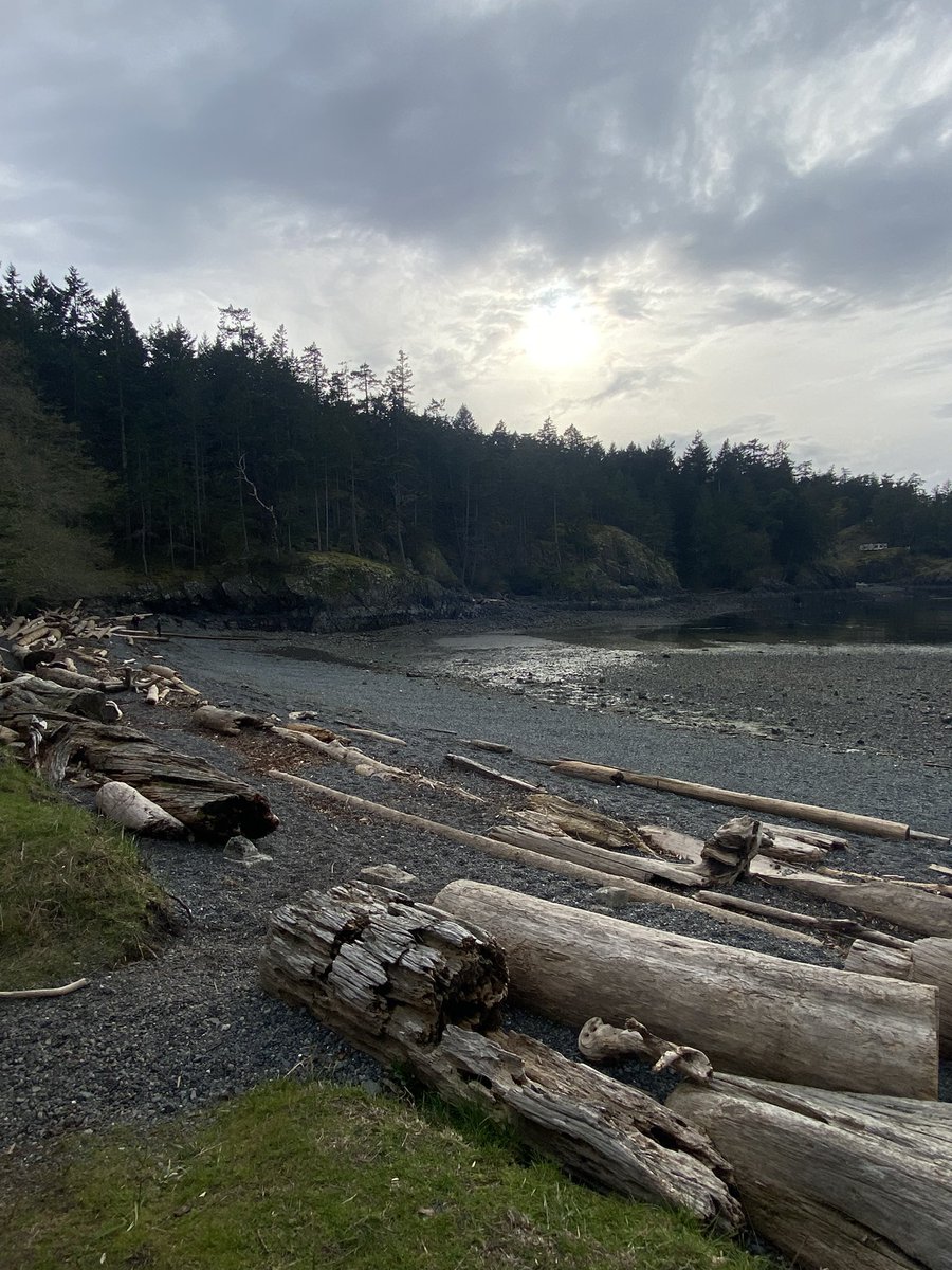 chbnr12's tweet photo. Went on another walk after work today. God I love where I live! Feels so good to be out living life. I am a Peaker! I can do this!  @vipeakers @MyPeakChallenge @SamHeughan #PeakerStrong #MPC #VancouverIsland #NeckPoint https://t.co/c1HOiM5bib