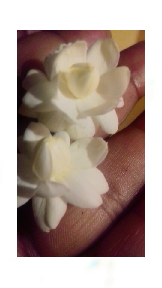 ગુલાબ 🤣😂