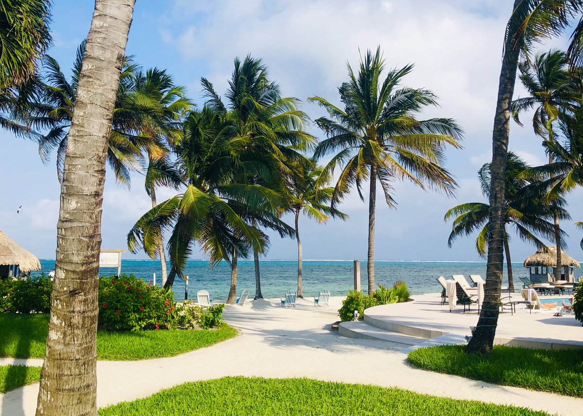 Jaime Griffon tweet media