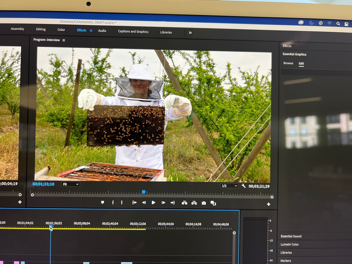 A sneak peak at my #beehivetheft story 🐝