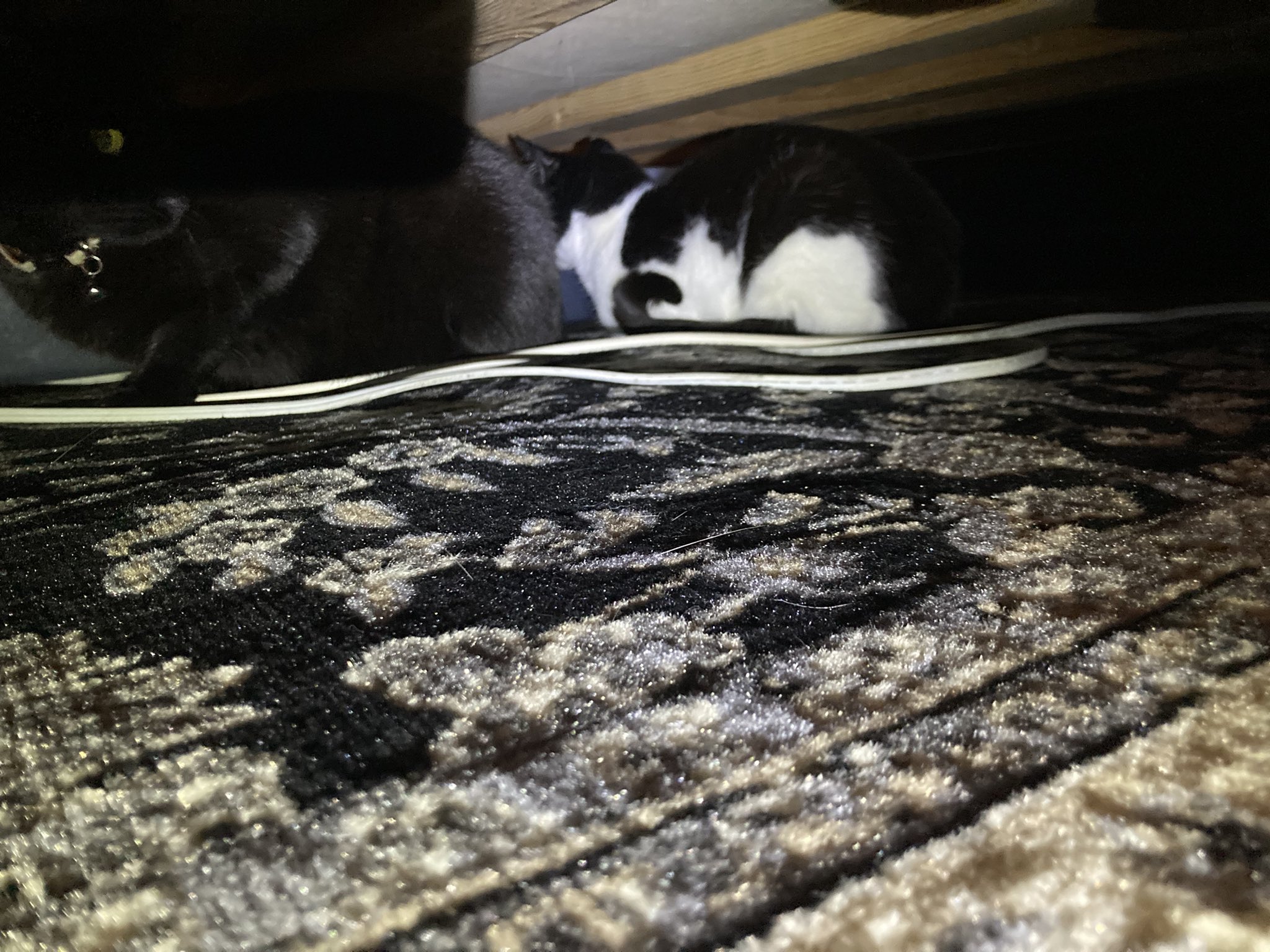 Insert trendy bandwagon topic with emojis here on Twitter