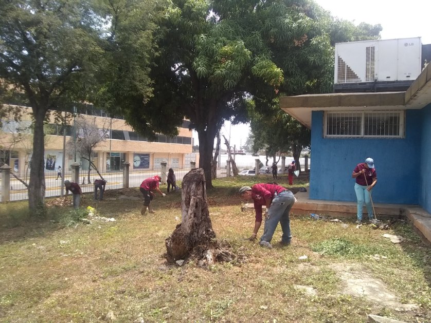 HFMSIVSS's tweet photo. Agradecemos a la @apuertocabello liderada por el alcalde @JCbetancourt72 por el embellecimiento de áreas verdes y eliminación de malezas en las áreas externas de nuestro @HFMSIVSS 

¡Juntos somos más! @MagaGutierrezV @NicolasMaduro @ivssoficial https://t.co/ba0TahkE7x