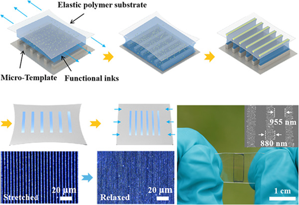 SmartMat2's tweet photo. Check out the latest Article about Flexible substrates enabled highly integrated patterns with #submicron precision toward intrinsically #stretchable #circuits @Wiley_Chemistry @WileyPolymers 
Read it: https://t.co/SL3JalMzvb https://t.co/Fuc07Sg233