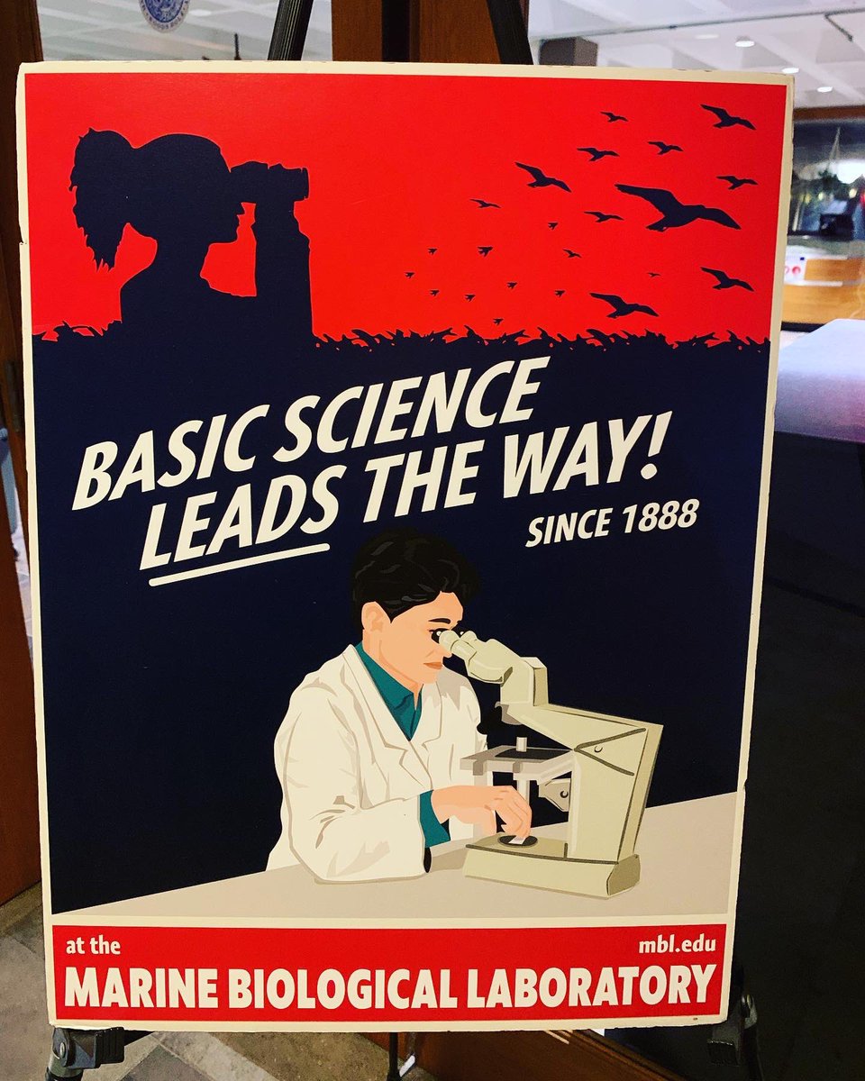 KaylaHammond22's tweet photo. “Science and everyday life cannot and should not be separated.” ~Rosalind Franklin 

I am having a great time at the Developmental Biology of the Sea Urchin conference in Massachusetts. Wonderful talks from very bright scientists! #STEM #basicscience #seaurchins #DBSU https://t.co/PnkyxytW0I