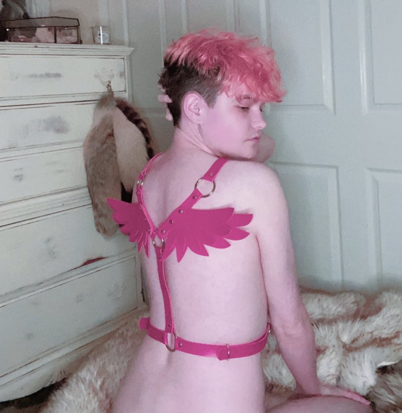 sugarrushpup's tweet photo. Let me be your Angel~ https://t.co/ZJabd3gCKH