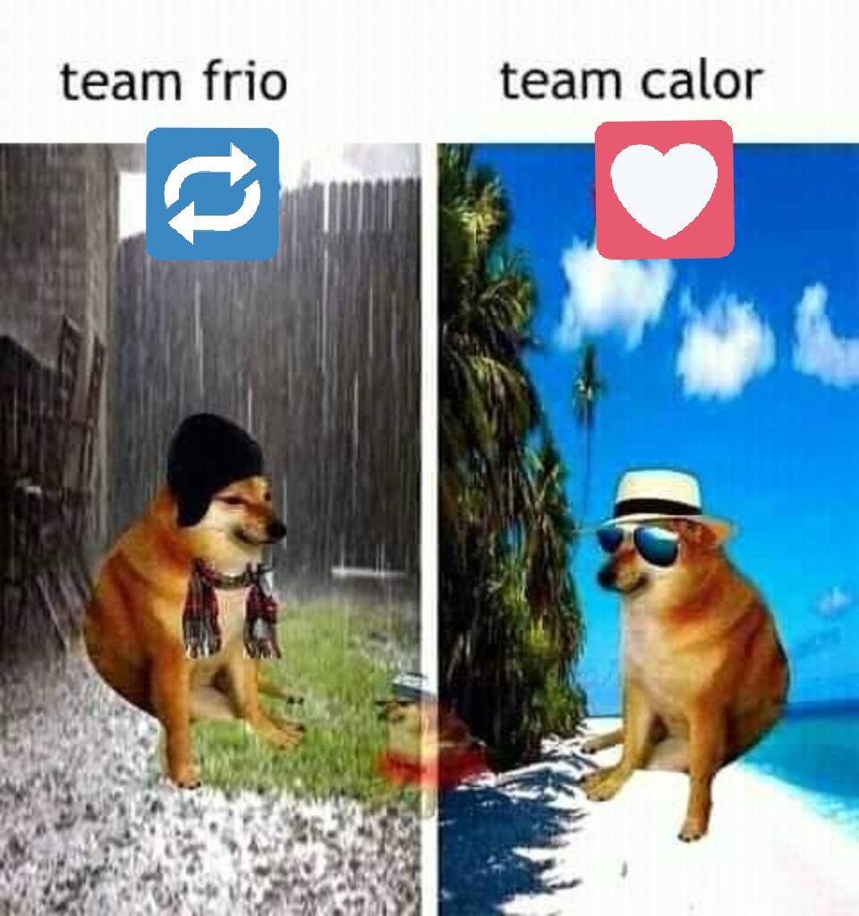 GatitoJoseos's tweet photo. Ustedes que team son ? https://t.co/gQD5EwInJx