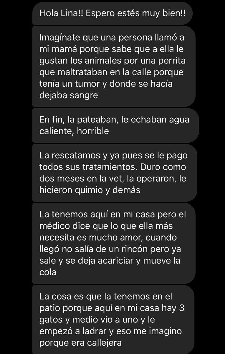 lithiumsodium_'s tweet photo. Me ayudan difundiendo para encontrarle hogar a esta bebe en BAQ; fue rescatada, tiene aprox 3 años 🥺 https://t.co/wfI9ZyZSMU