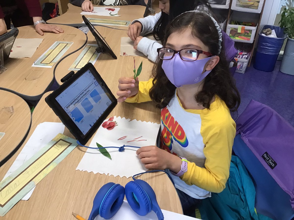 #Fleetfalcons are getting ready for spring and growing season with our @APSscience unit on plants!  Today, we dissected the flower 🌸 to learn how plants produce a seed and fruit. Don’t forget you also need the bees 🐝 <a href="/APS_FleetES/">Fleet ES</a>