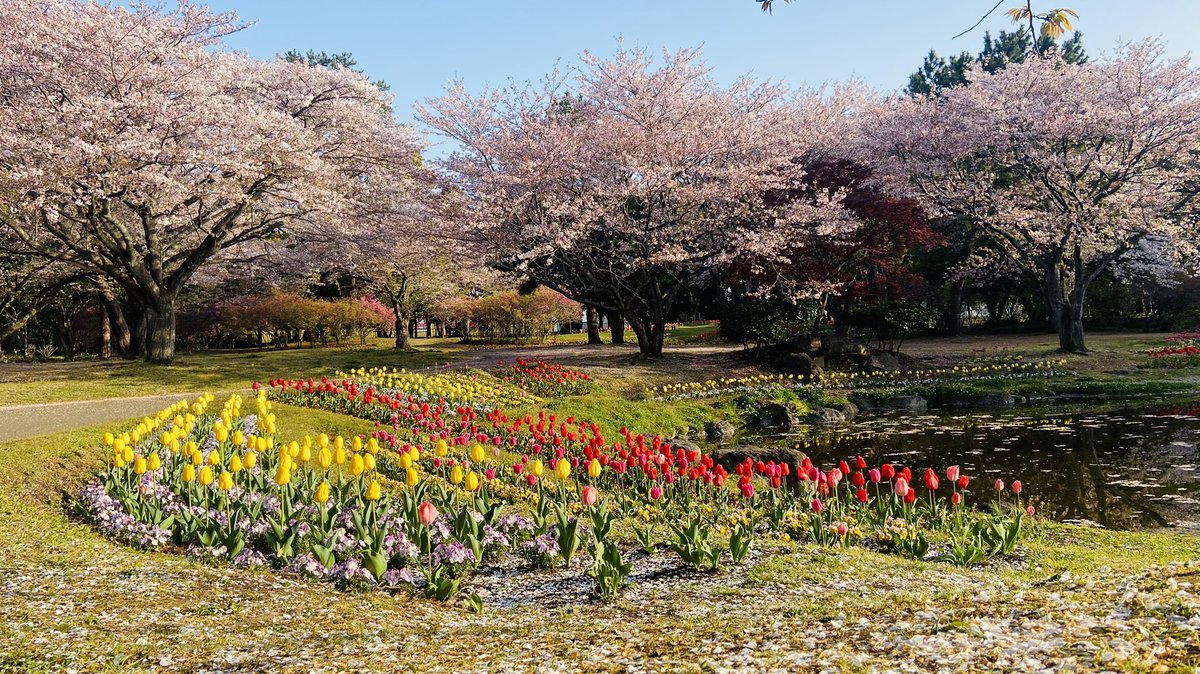 一人旅最終日は早起きして別府公園お散歩～。現地の人と話したり楽しかった～。もうラストなんて信じられない。。朝風呂も入って今から博多ー！夜からはお友達と合流して博多の夜を満喫しやす！最高じゃん！！