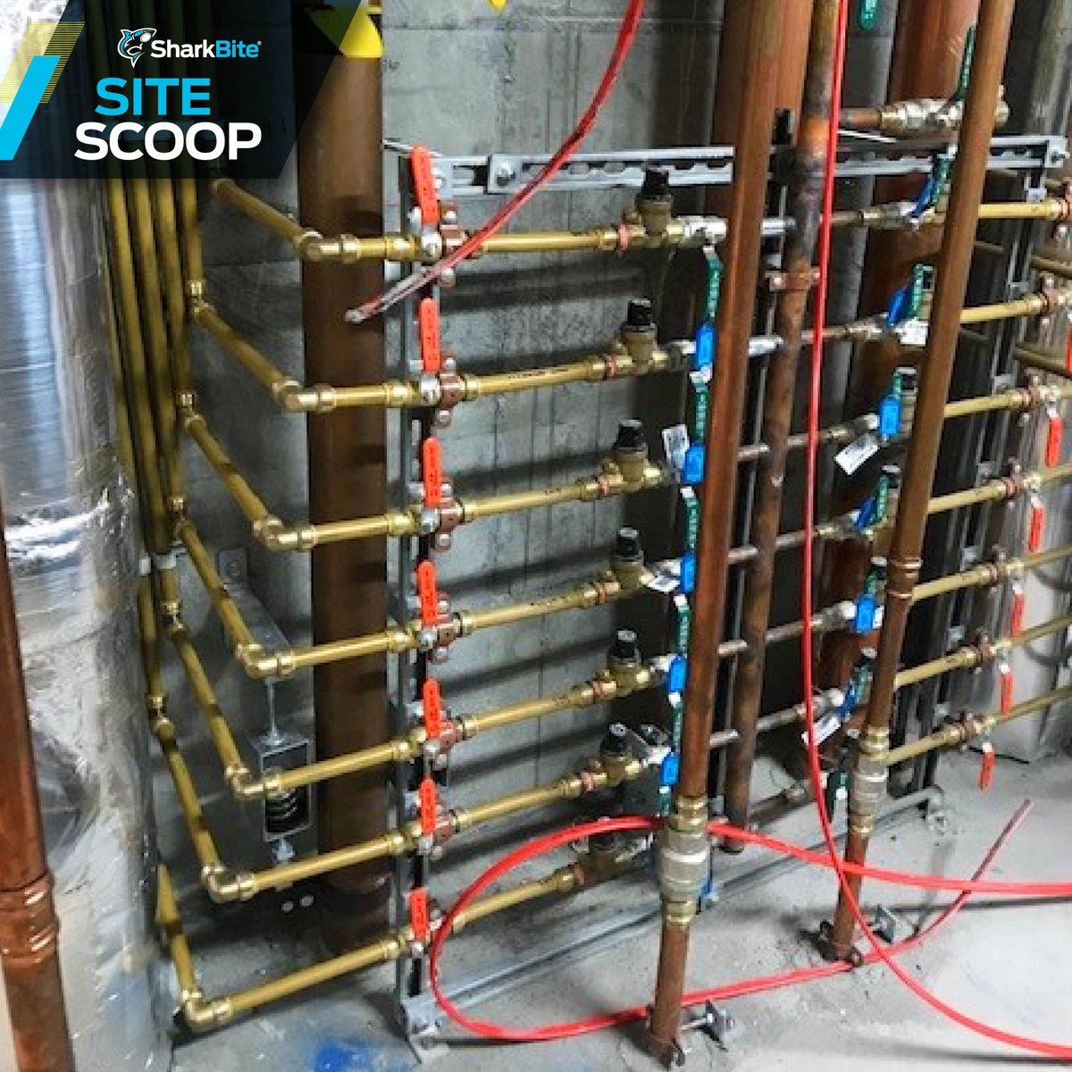 SharkBiteAUS's tweet photo. If you've got the tools, we've got the fittings. SharkBite and Reliance Valves have got you covered for all your water meter and pressure control needs. 

Check out these installations in Victoria!

#SharkBiteAustralia #SharkBiteSiteScoop #WaterMeters #RelianceValves https://t.co/WT7rppHAuK