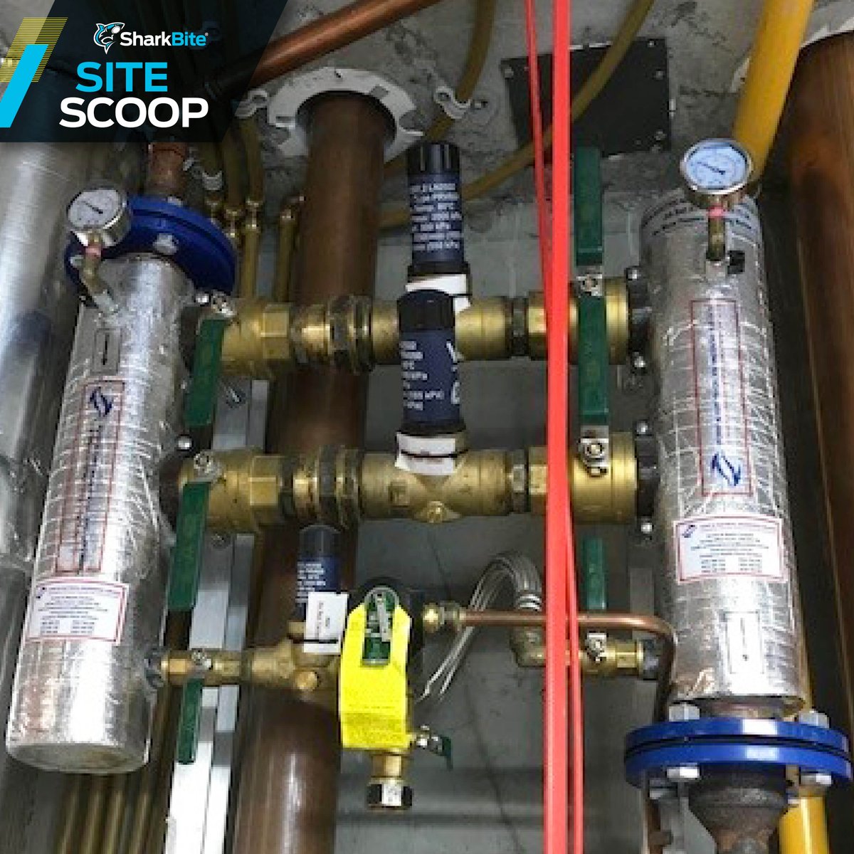 If you've got the tools, we've got the fittings. SharkBite and Reliance Valves have got you covered for all your water meter and pressure control needs. 

Check out these installations in Victoria!

#SharkBiteAustralia #SharkBiteSiteScoop #WaterMeters #RelianceValves