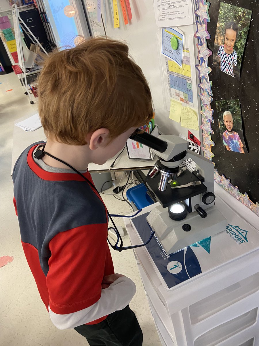 CTrommels's tweet photo. Love this activity for comparing and contrasting! What can we see with our eyes? What can we see under a microscope? We had so much fun being scientists today! 🔬🍃 https://t.co/kBretobF1u