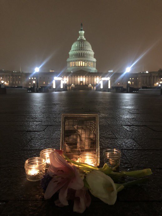 Capitol Fox tweet media