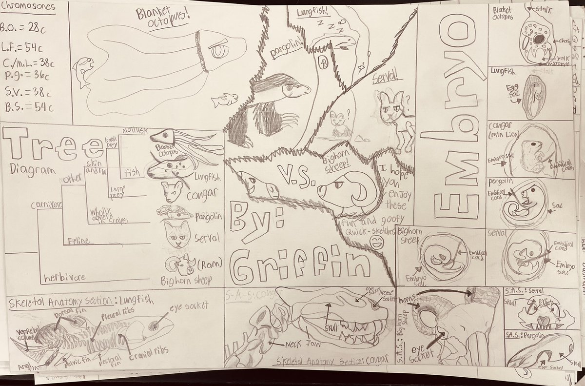 EMS7Science's tweet photo. Check out the skull sketches on this one…so much effort involved! https://t.co/JzP85JarP5