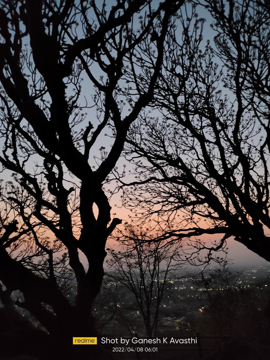 Devavasthi's tweet photo. 🍁सुकून🍁
#निर्भिड #peace #सुकून #नाशिक #nashikcity #nofilter #morningvibes #morning #sunrise #GClicks #Nashik https://t.co/SBArPBH8WZ