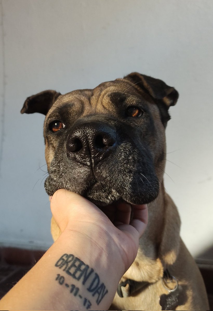 warning_2000GD's tweet image. La gorda más bella del mundo