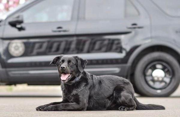 McMinnville Police tweet media