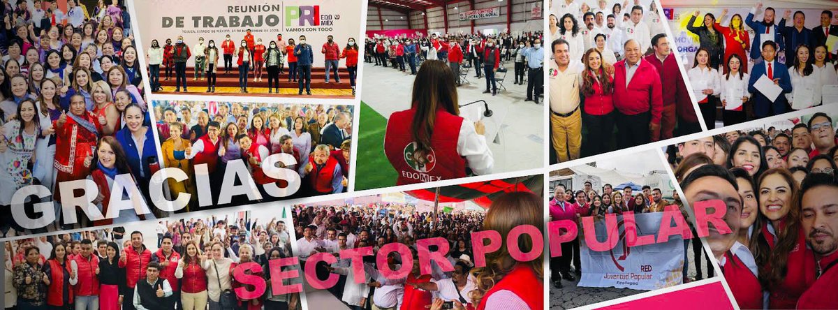 Sandra Méndez tweet media