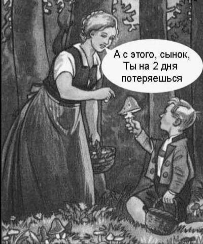 alleevskiy tweet media