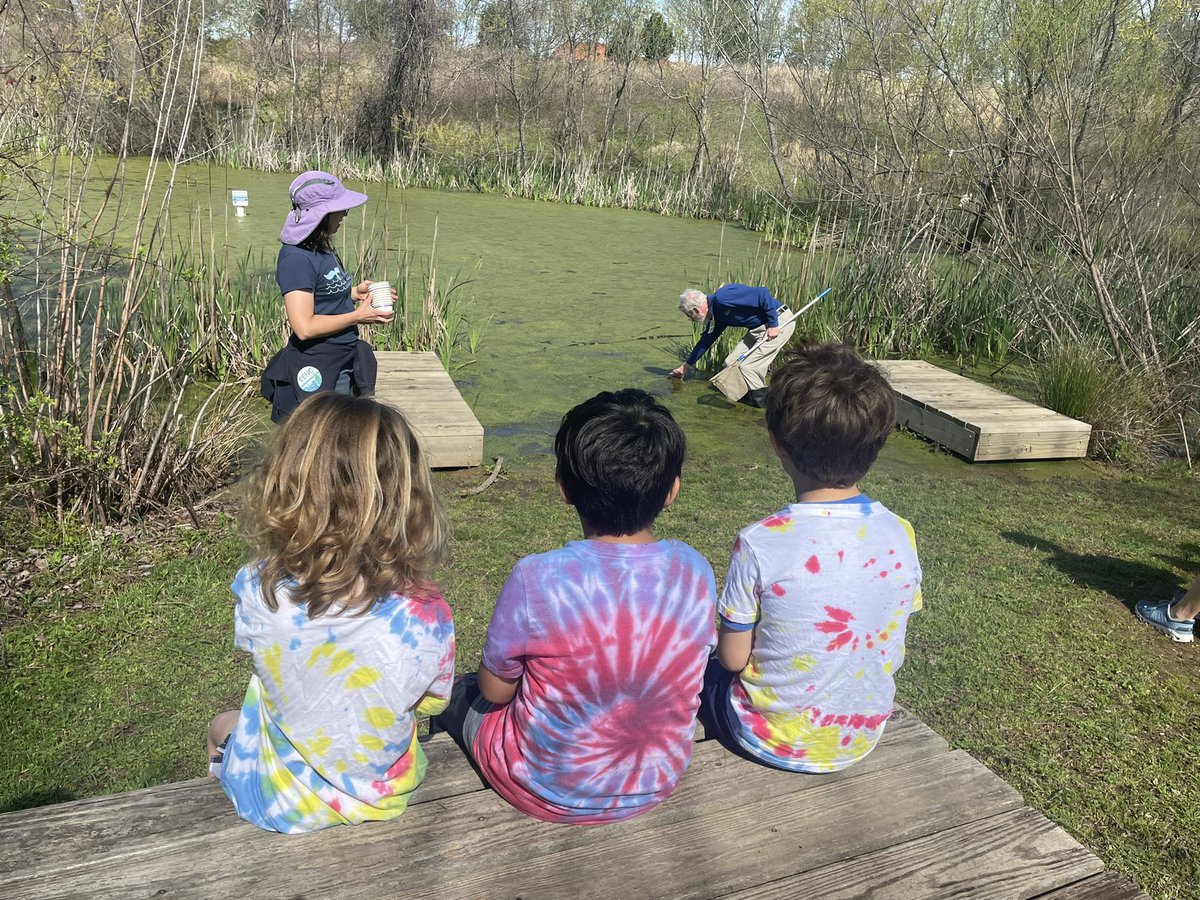 eacharbonneau's tweet photo. Kindergarten explored the pond at Prairie ridge Eco station. ❤️💙💛 @BrooksMuseumsES @found4brooks https://t.co/Ydhv2N154E
