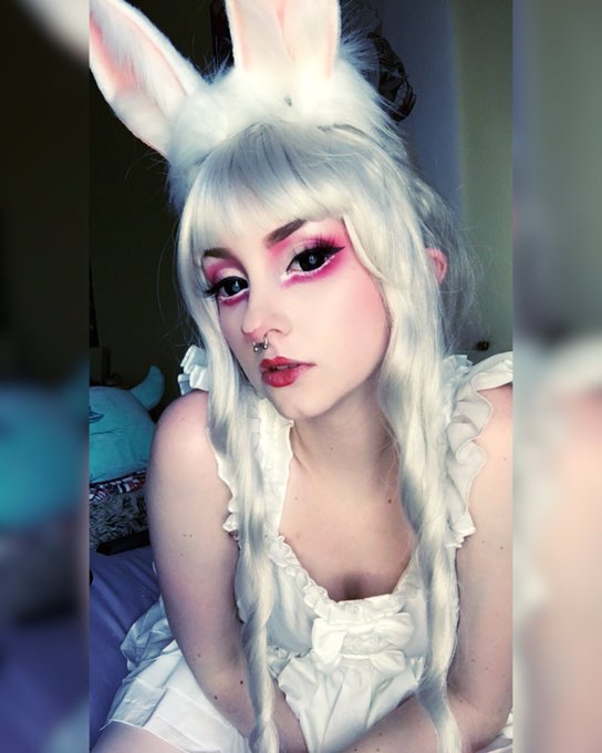 Wanted to share some cute white rabbit pics 💜 https://t.co/hnqGCqS6gn