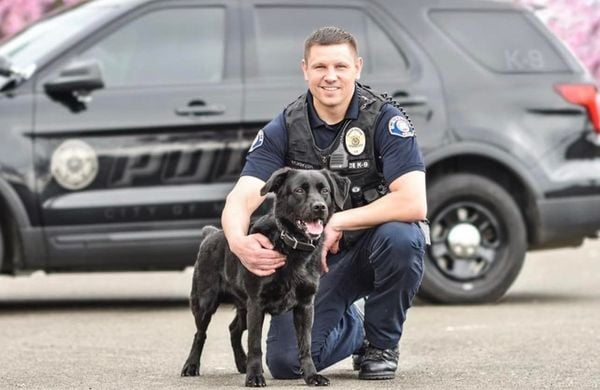 On Patrol K9 tweet media