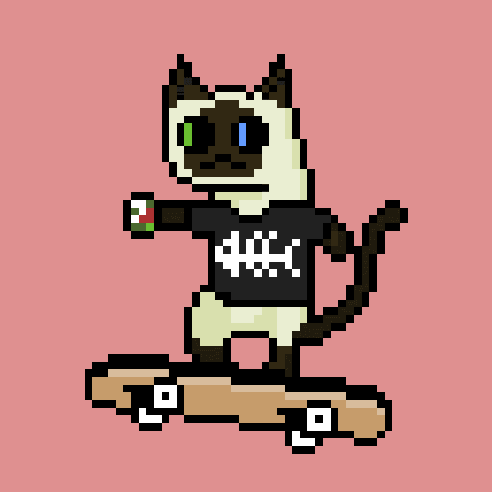 redfoxAI's tweet photo. I heard Solana likes CATS now.
How about Skater Cats??? @skatercatsoc https://t.co/vui4lbF2MD