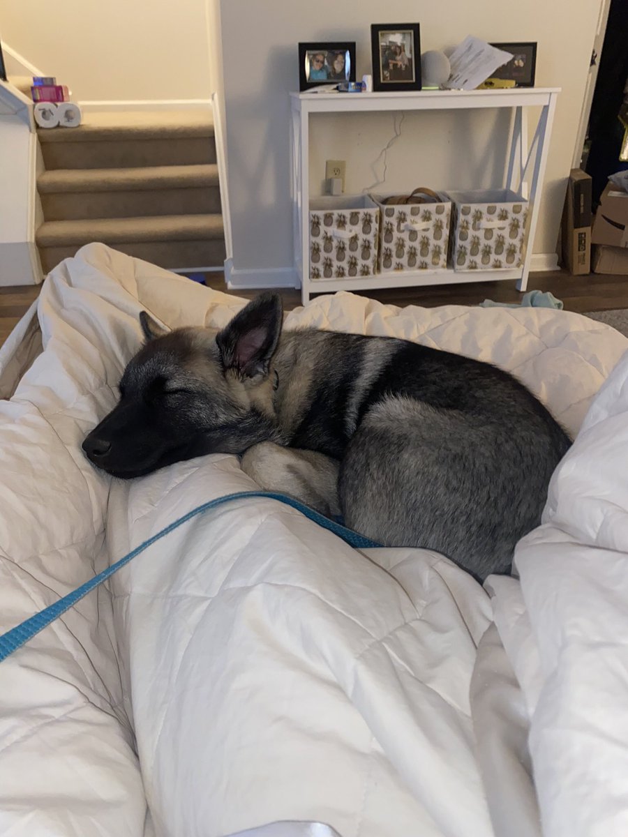 Meghan Coccia (@meghankathleen_) on Twitter photo 