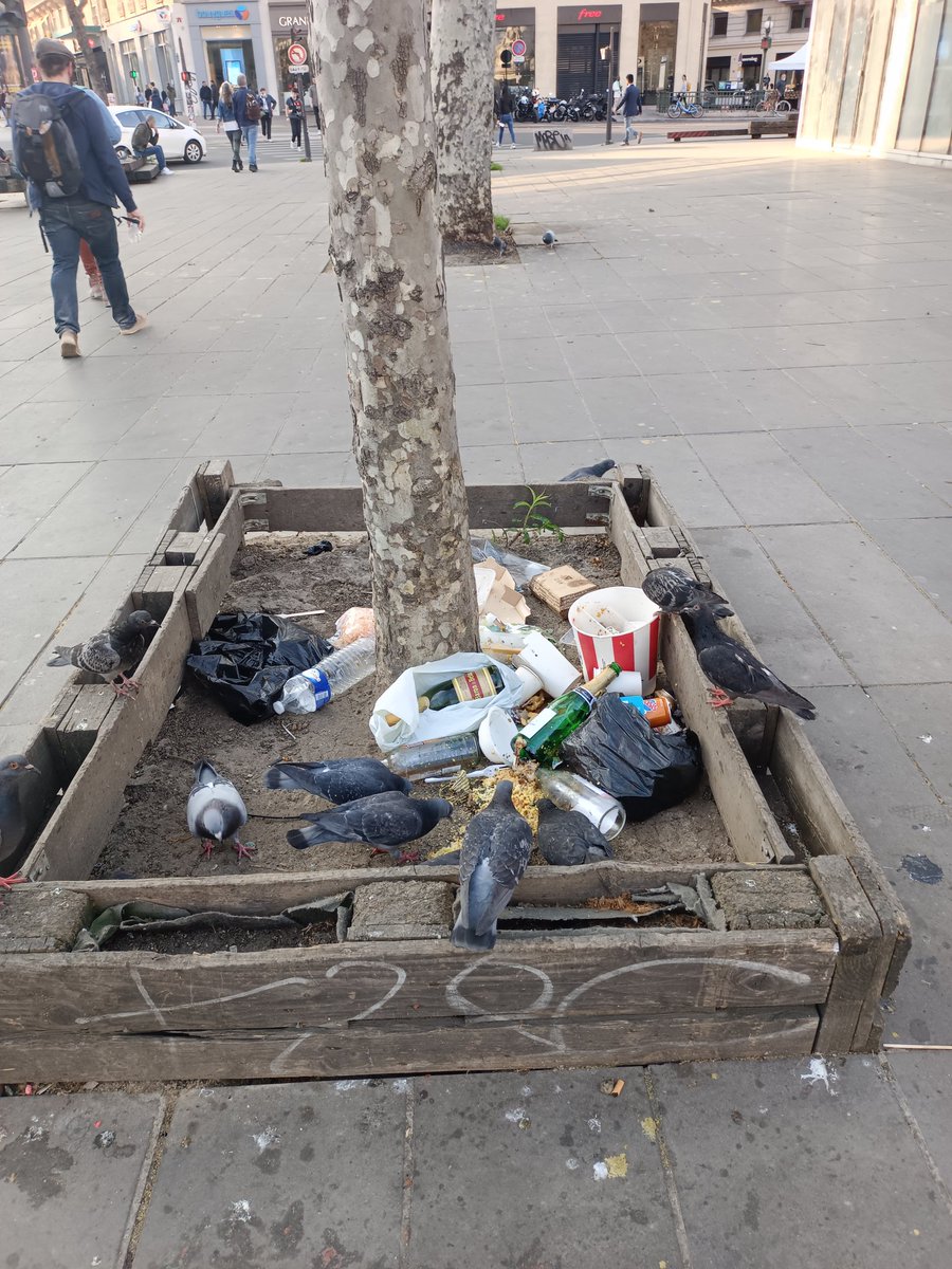 missblabla75's tweet photo. @XtopheDucret @ParisVigilance @SebastienDenaja @Anne_Hidalgo @partisocialiste #saccageparis allez voter dimanche évitez la Maire de #saccageparis et ses #saccageurs @yjadot @EELV_Paris @partisocialiste @PCF @Fabien_Roussel #Brossat #Baudrier et les autres https://t.co/2ChyOEsMcN