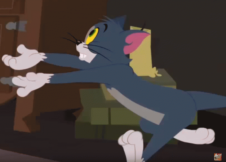 Dayton Lib Cat! tweet media