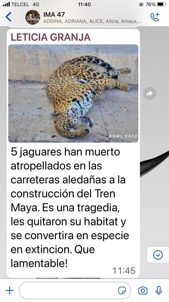 #Turismo y #DesarrolloSustentable ¿Estás de acuerdo con la #Premonición para el #MundoMaya? ¿Es una radicalización de ideas? O ¿Es parte de lo que siempre ha sucedido y hasta ahora con tantas redes sociales se conoce oportunamente a nivel global? ¿Por qué?<a href="/saori_rosel/">Saori Rosel</a> <a href="/Jfla2021/">Jennifer Lopez</a>