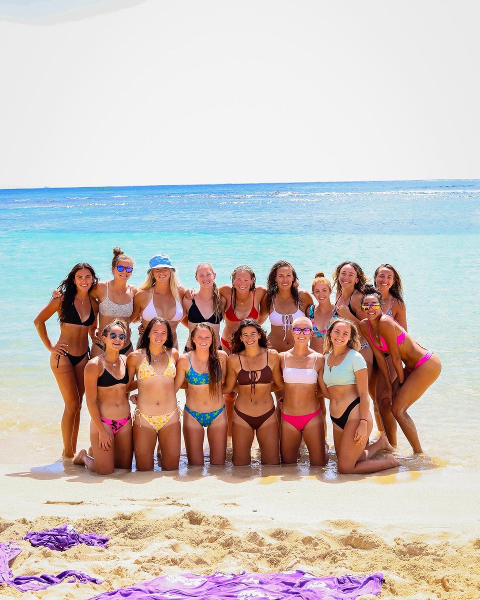 GCU_Beach's tweet photo. Aloha 🌺🤙🤿 https://t.co/RhlbEQlfMo