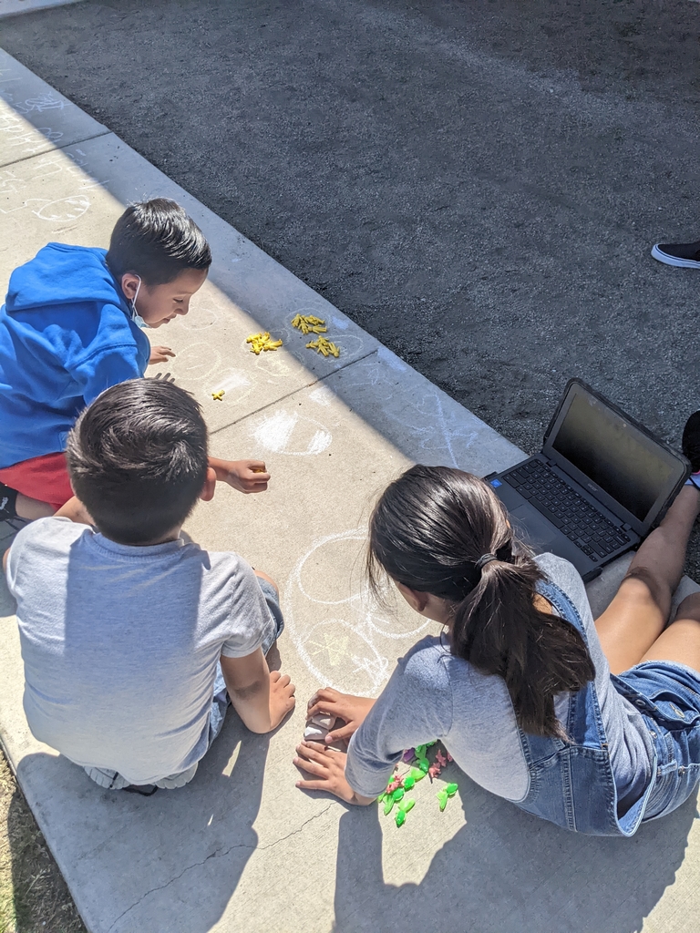 ButtonwillowUSD tweet media