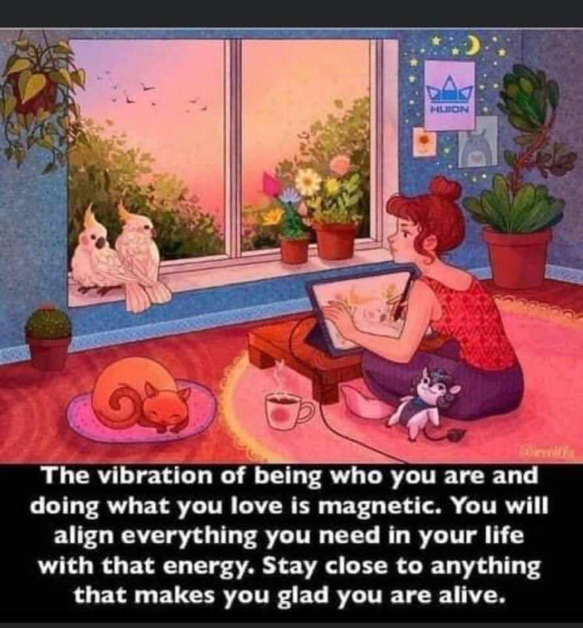 S. Gills (@sgills850) on Twitter photo 