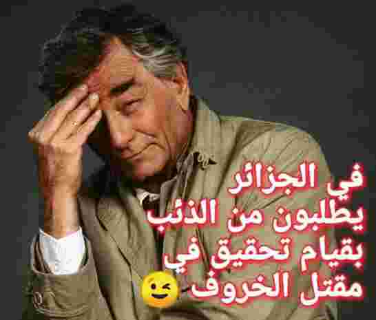 AlgeriaTimes.net Algeria اذاعة “فرانس إنتر” تستهزء بالجزائر حول اتهام المغرب بحرق الغابات dlvr.it/SNB5bj Algerie Algerie #Algerie