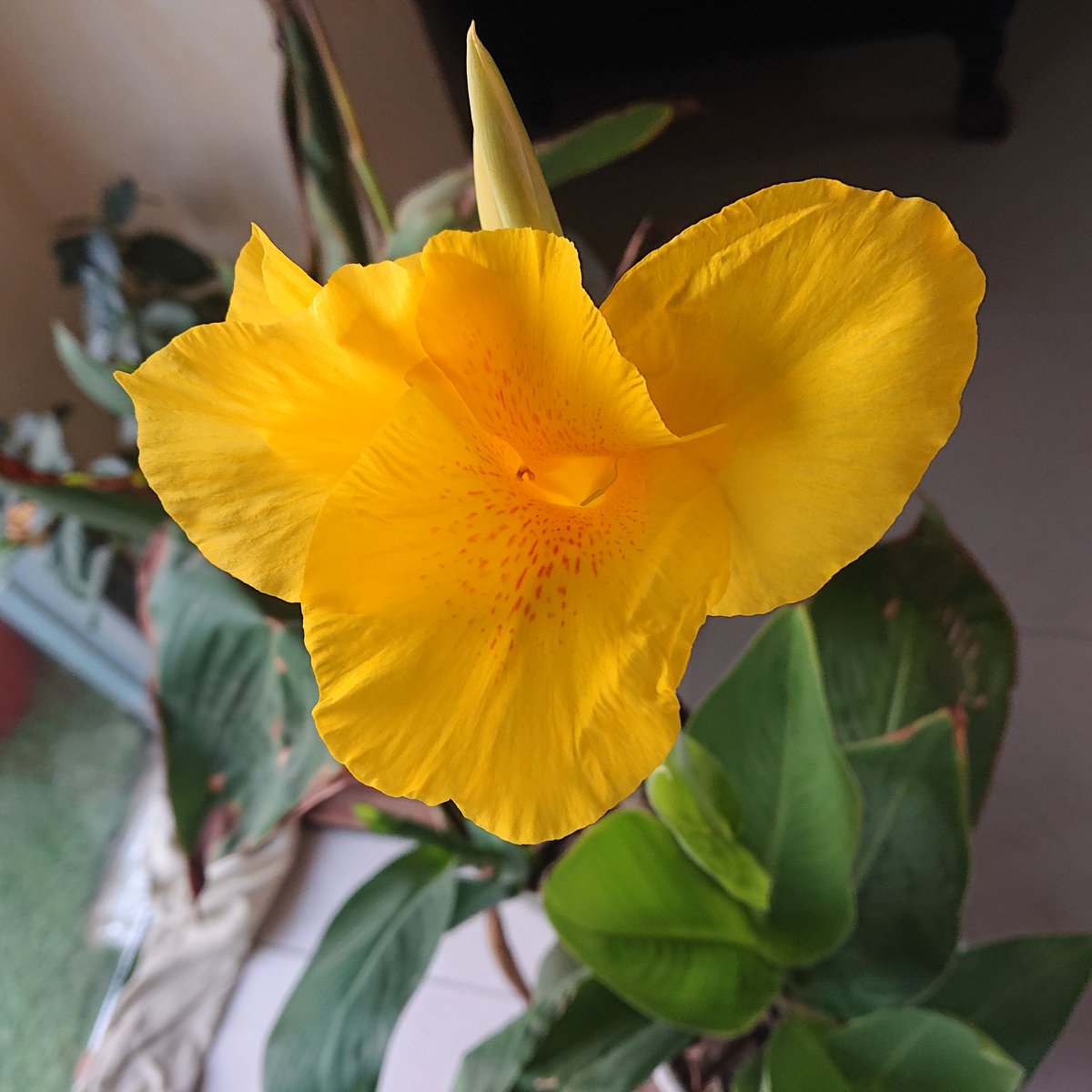 اللهم صل وسلم على نبينا محمد وعلى آله وصحبه أجمعين
#مقاطعه_المنتجات_الفرنسيه520