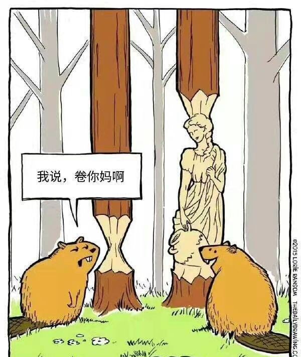 币圈老司机🔶BNB tweet media