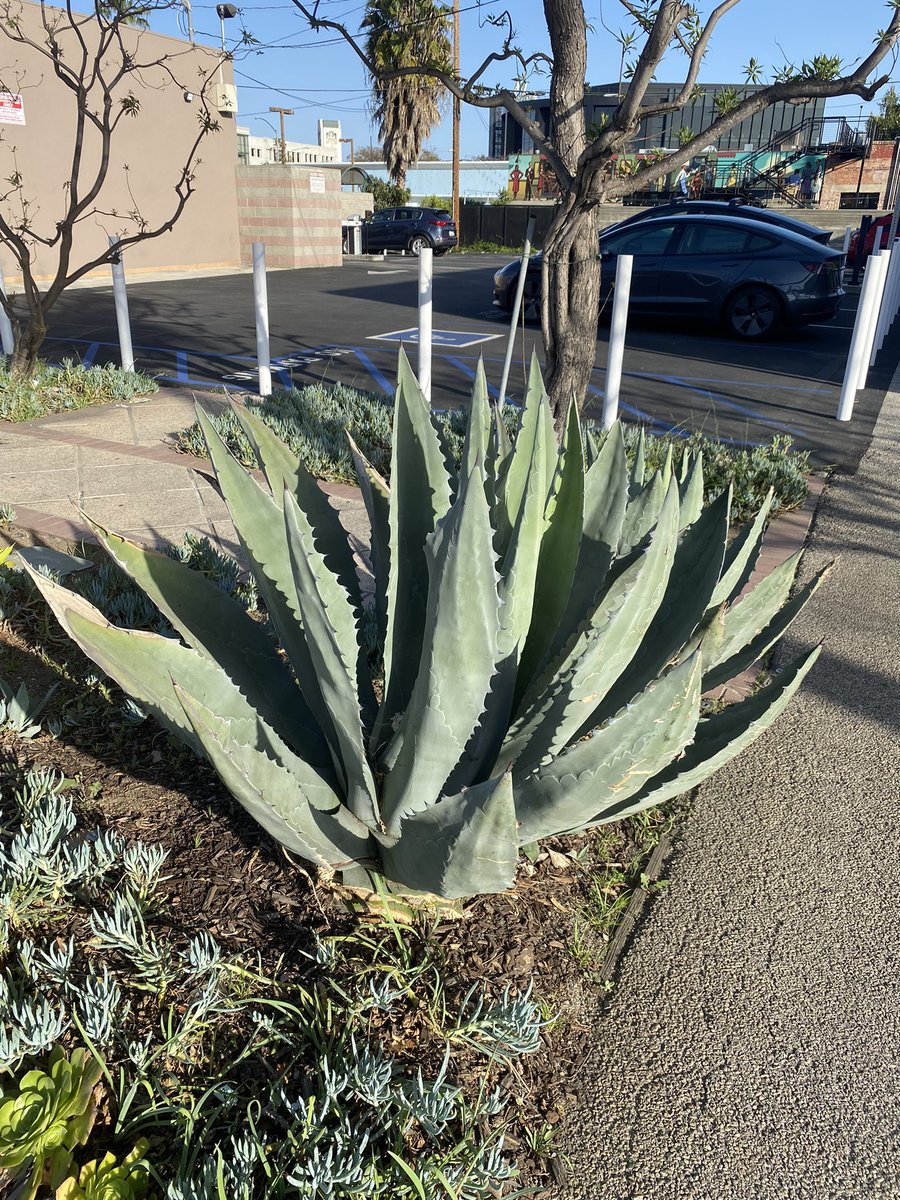 Shantell Martin MBE tweet media