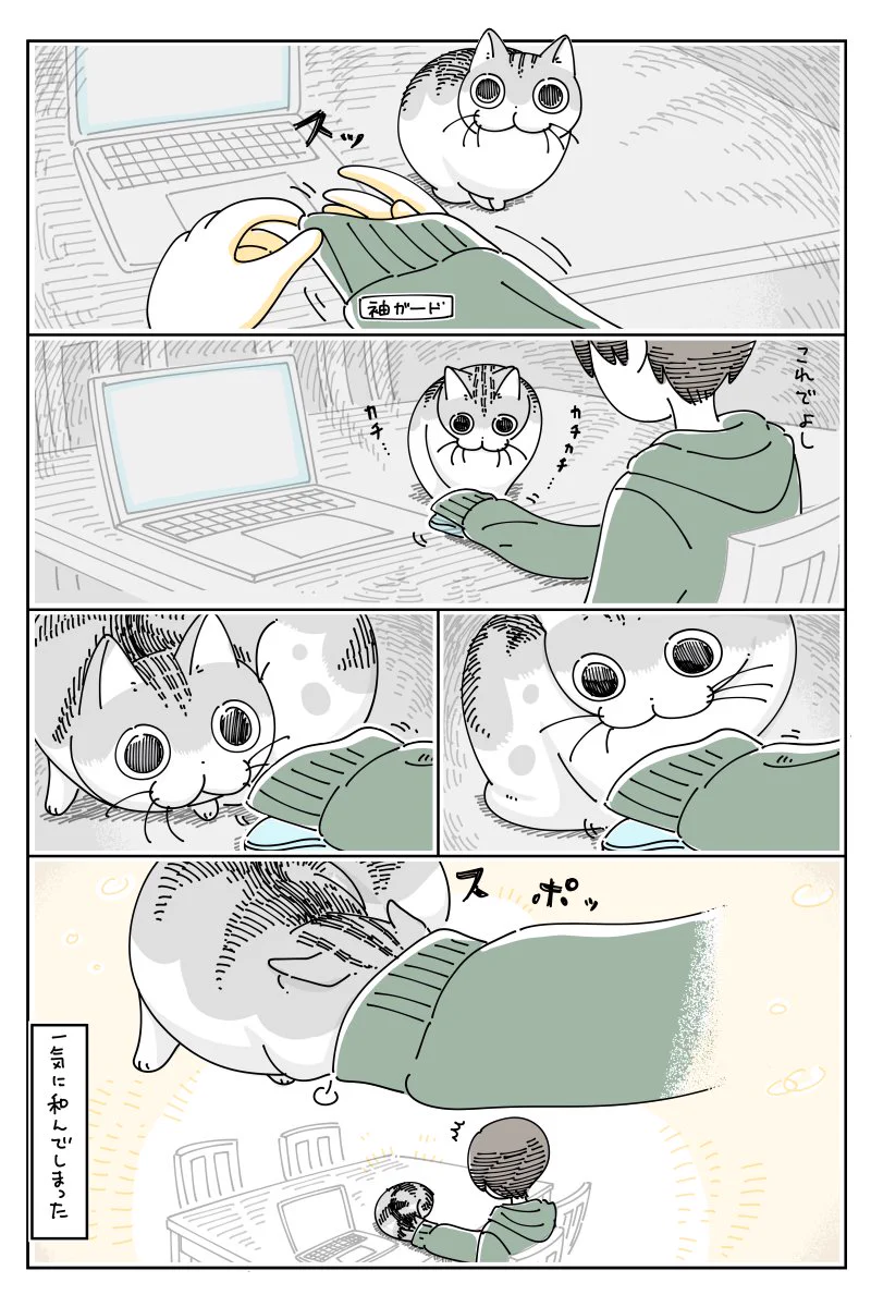 操作中のマウスへ飛び掛かって来そうな猫を見て、袖ガードをしたら･･･！可愛すぎるオチに癒される猫漫画！
