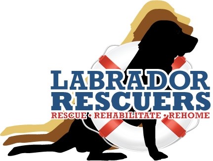 LabRescuersSD's tweet image. conta.cc/3x9938X