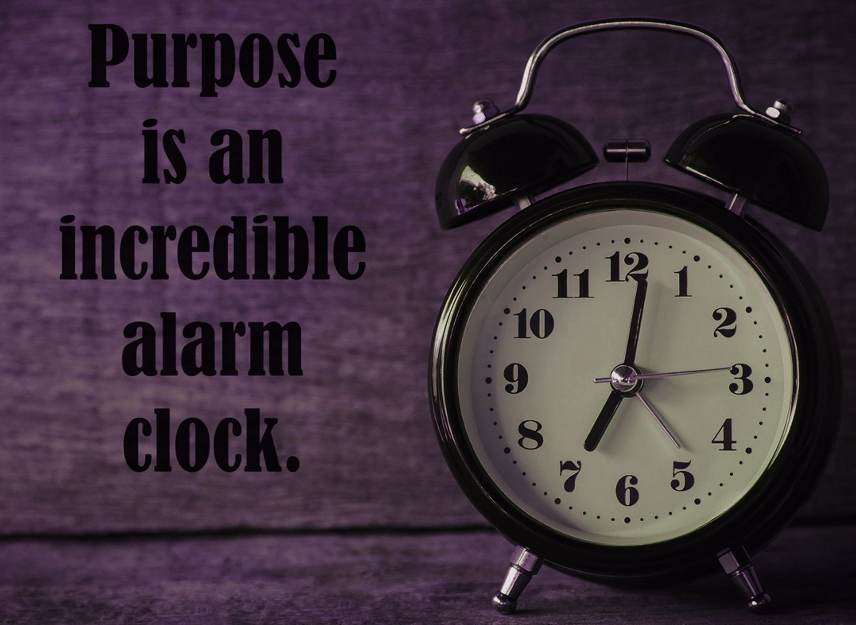 AlgoritmTest's tweet image. Purpose is an incredible alarm clock.
#quotes #quote #motivation