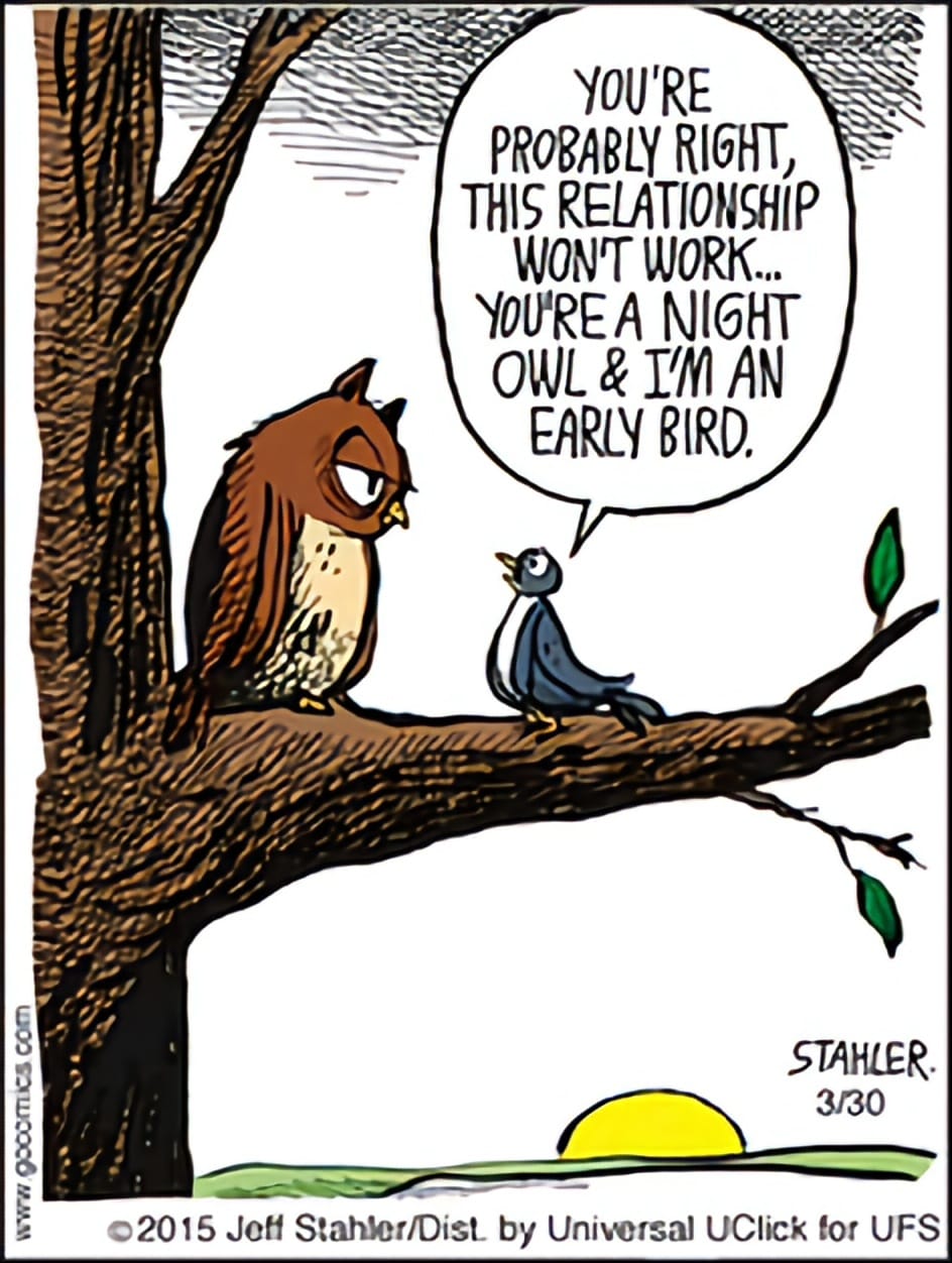 Intensive English Center - Idiom of the day: night owl You call someone a  night owl if they are always (or usually) up late. This is the opposite of  an early bird