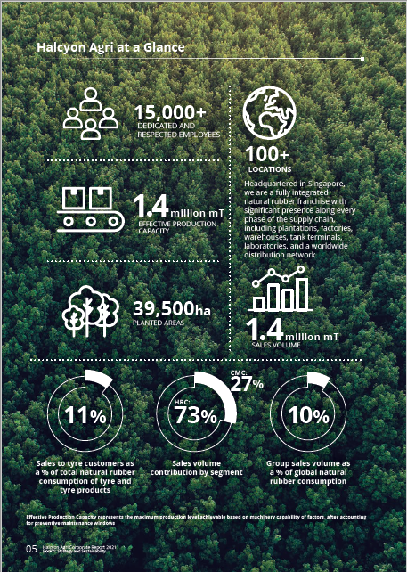 HalcyonAgri's tweet photo. We are pleased to present our latest #annualreport 2021 – ‘Towards Excellence &amp; Sustained Growth’. The report highlights Halcyon Agri’s achievements in FY2021. You may access our Annual Report 2021 via this link: https://t.co/R84lMtiotj #HalcyonAgri #FY2021 #360Excellence https://t.co/rd1XTAkm3p