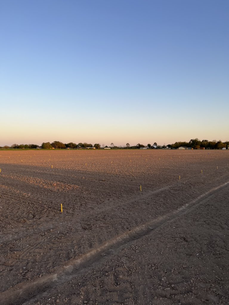 Connorwebster_'s tweet photo. The first of the 2022 rice weed management trials were planted today in Crowley, LA. Herbicide coated fertilizer, Rogue, herbicide antagonism, and several experimental herbicides are among some of the focuses of the trials planted today. @LSUAgCenter @LSUWeedScience https://t.co/5GepzgaYfd