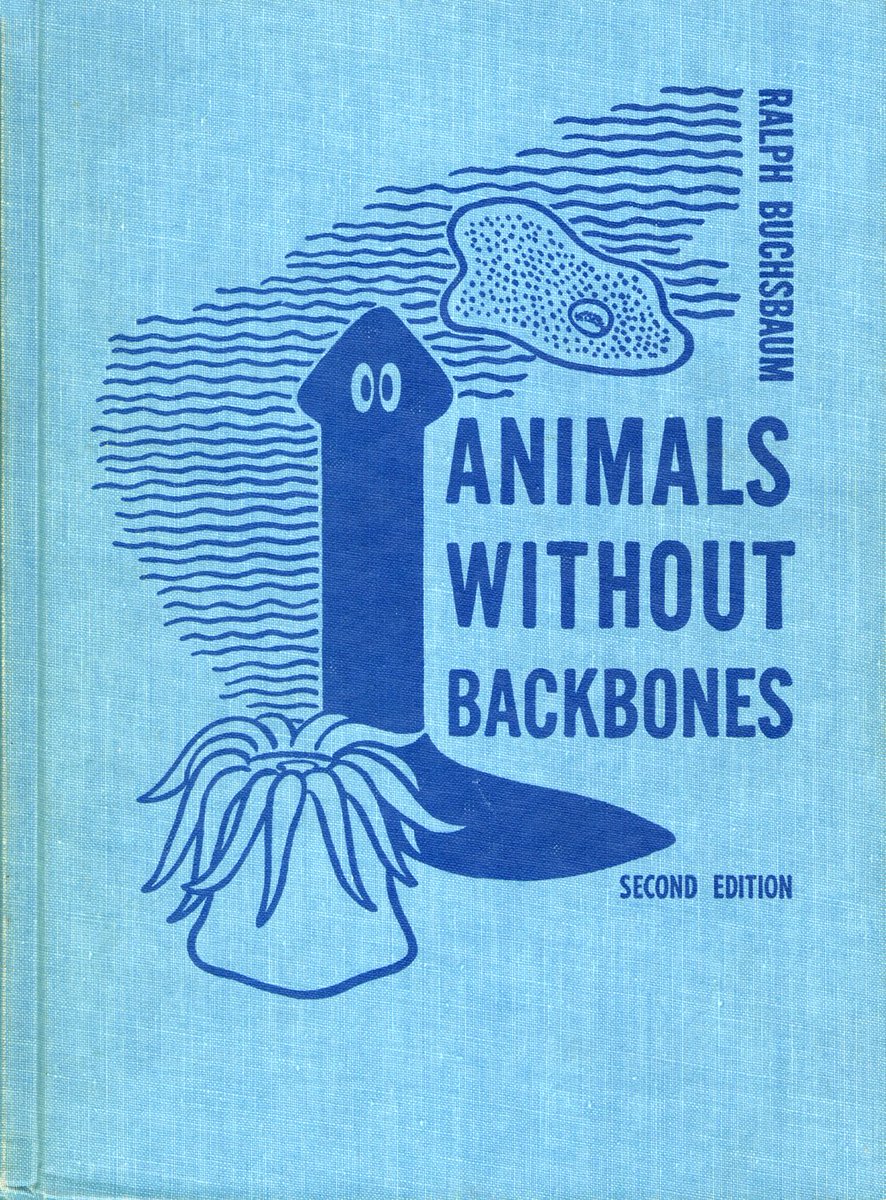MC Escher's "Flatworms" (1959) and "Animals Without Backbones," illustrated by Ralph Buchsbaum (1938). The piece created in '59 is fanart inspired by the latter book's illustrations! 