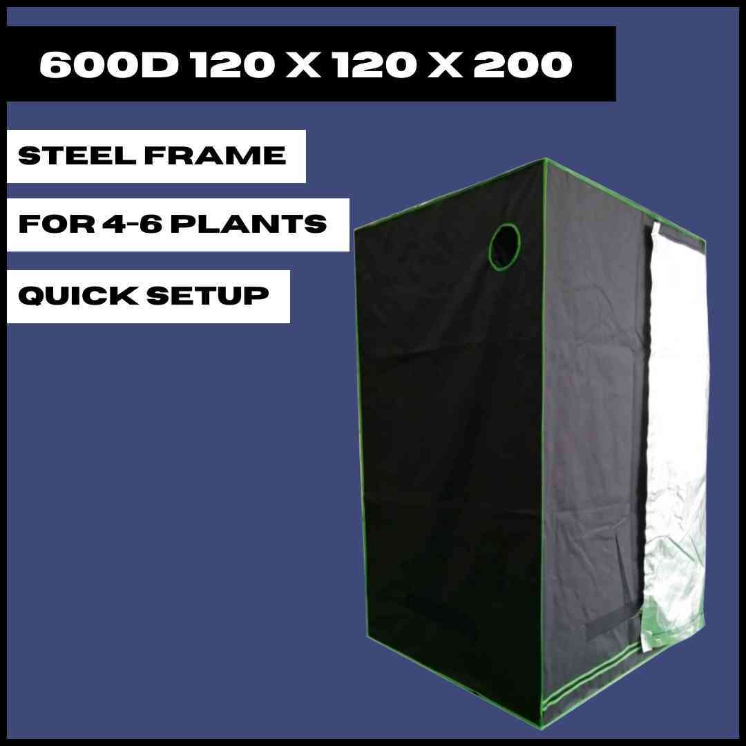 TODAY ONLY DEALS!!😯